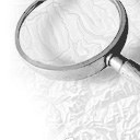 Wo kann ich mitmachen? 